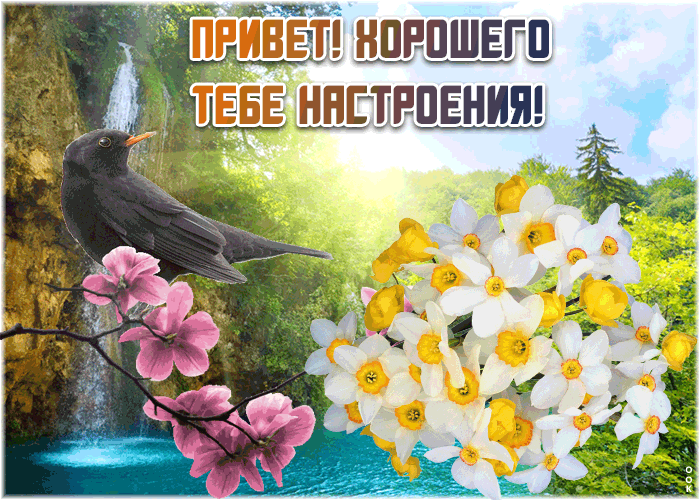 Открытка приветик - желаю здоровья и удачи