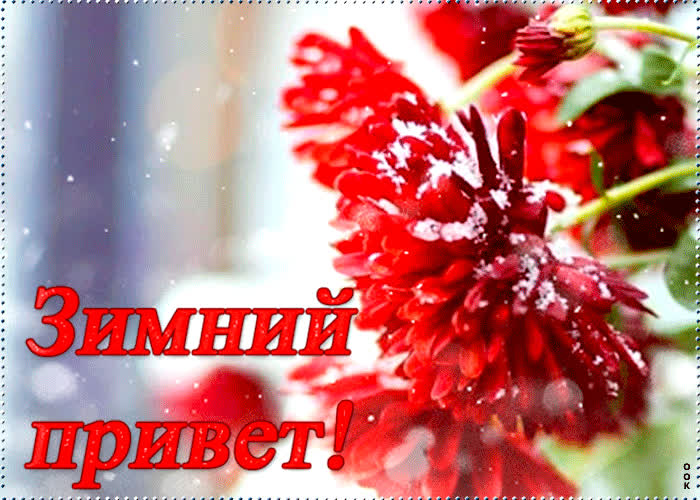 Картинка приветик зимний шлю