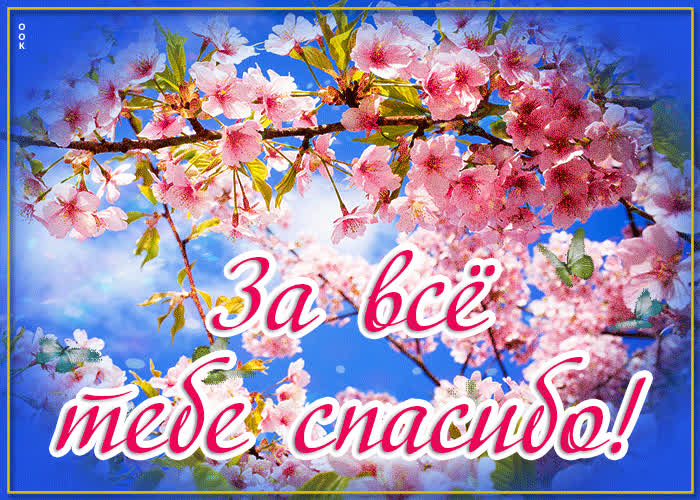 Открытка привлекательная открытка спасибо