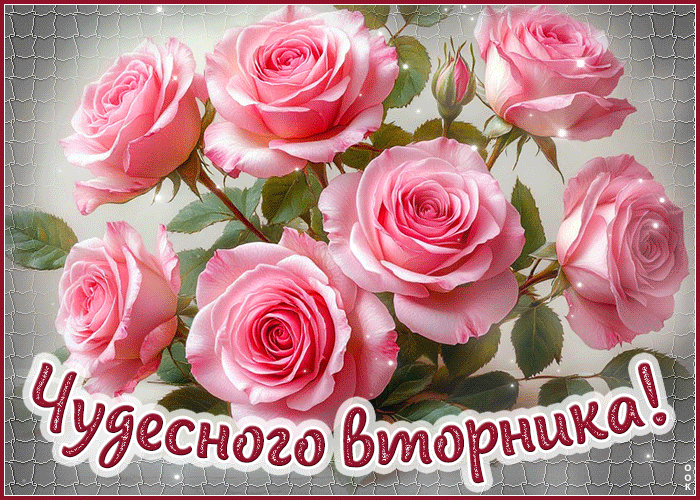 Picture приятная гиф-открытка чудесного вторника