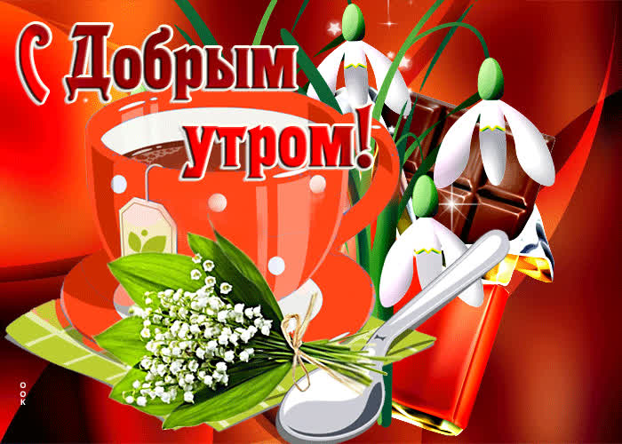 Postcard приятная открытка с подснежниками с добрым утром