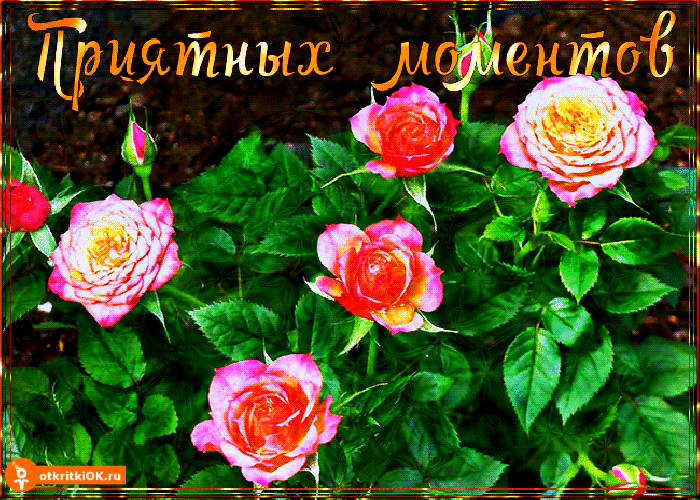 Открытка приятных моментов