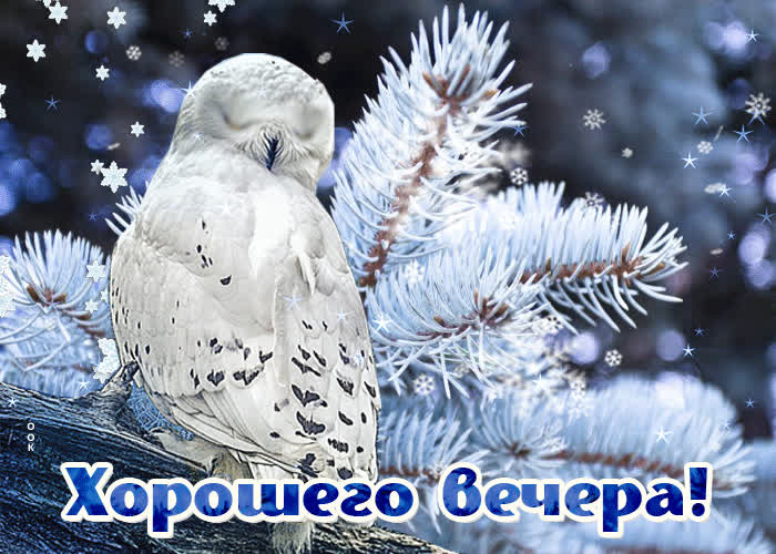 Картинка приятного и волшебного вечера!