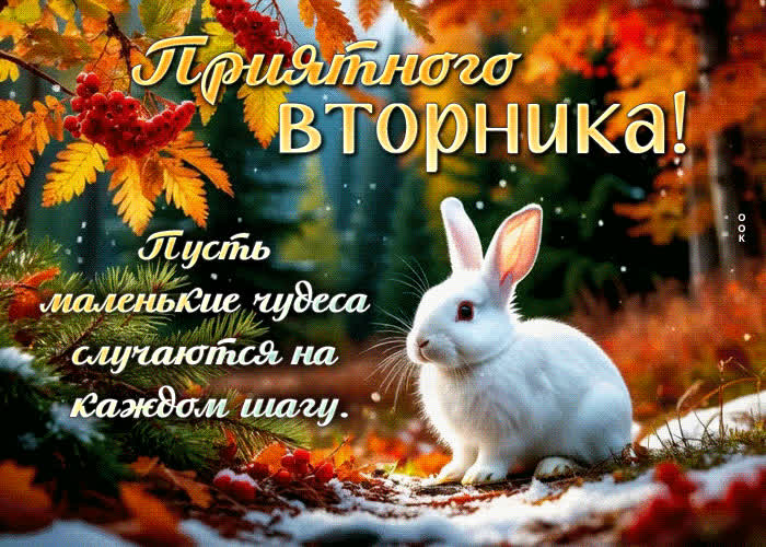 Postcard приятного вторника! пусть маленькие чудеса случаются на каждом шагу