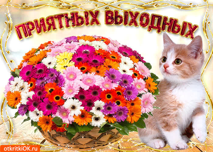 Картинка приятных выходных