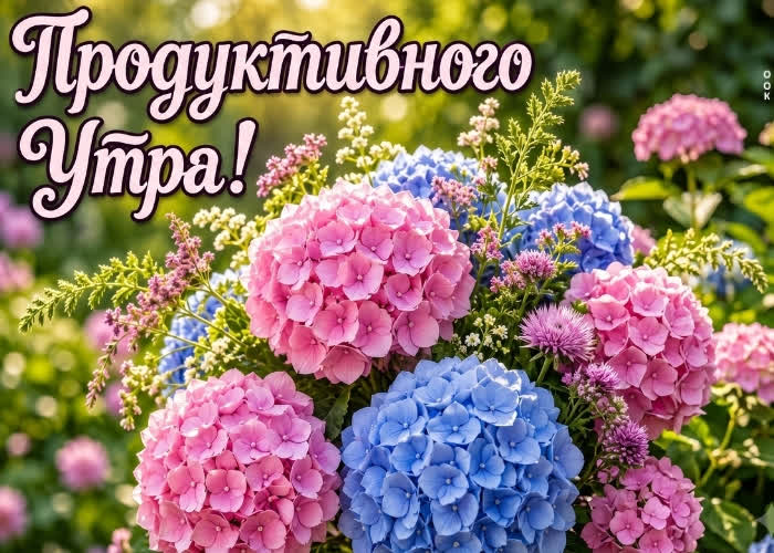 Picture продуктивного утра, пора удивлять этот мир
