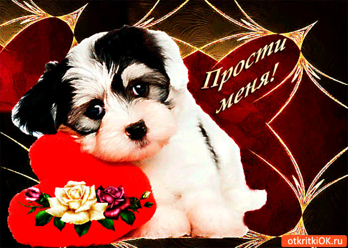 Картинка прости меня за всё сегодня