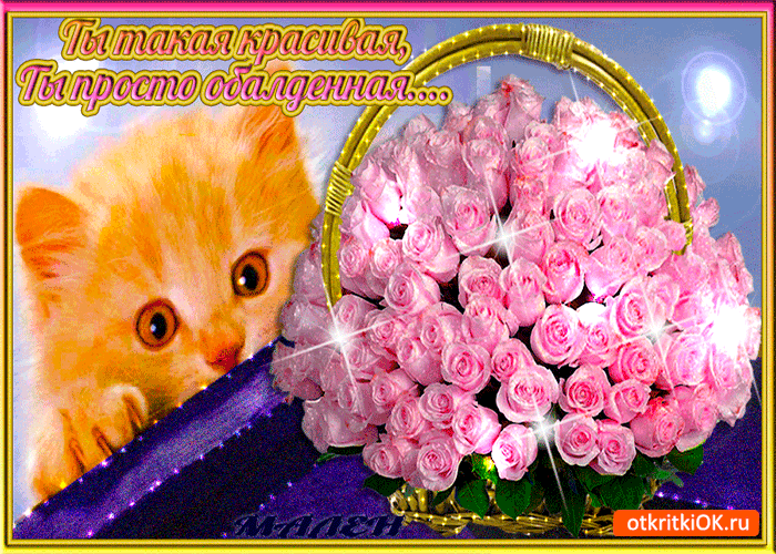Картинка просто обалденная