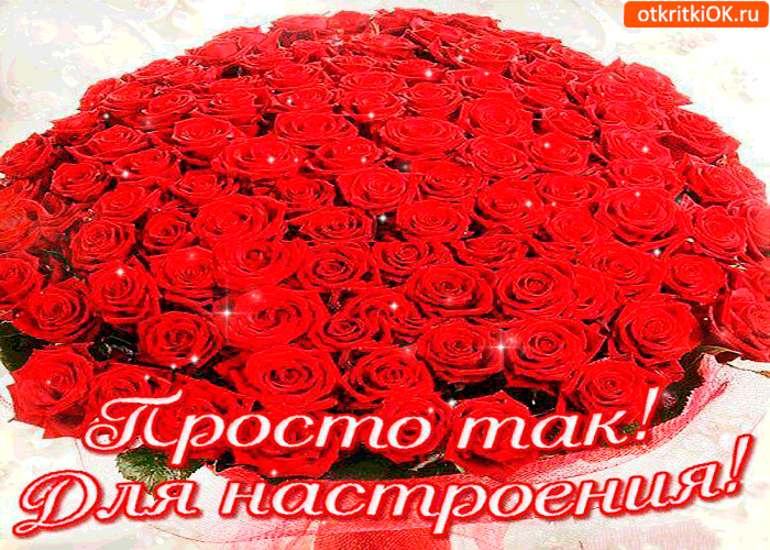 Открытка просто так. для настроения большой букет
