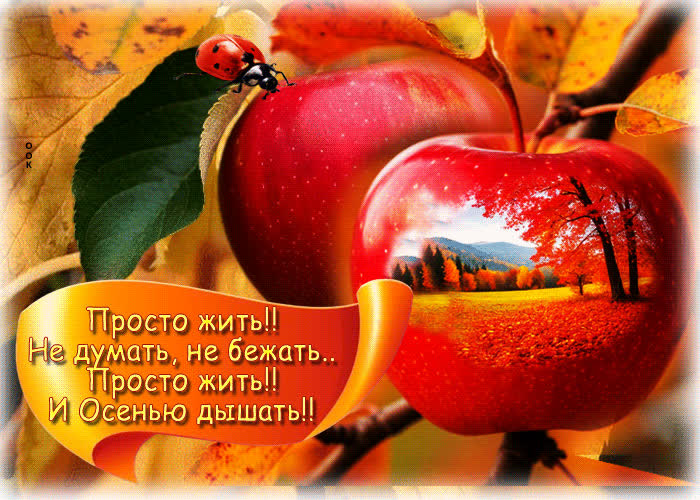 Postcard просто жить! и осенью дышать