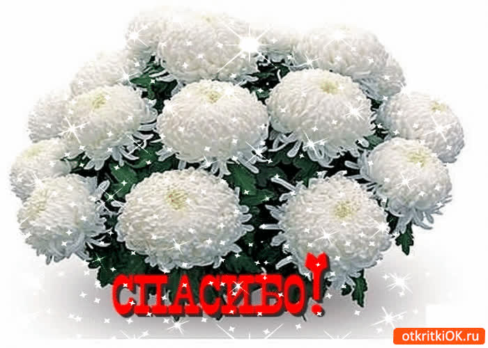 Картинка простое от меня спасибо