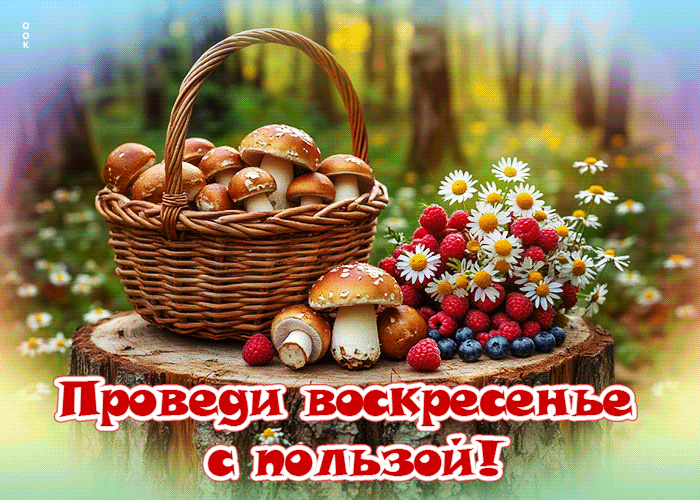Picture проведи воскресенье с пользой