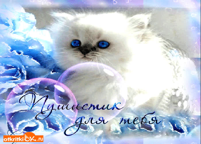 Картинка пушистик для тебя