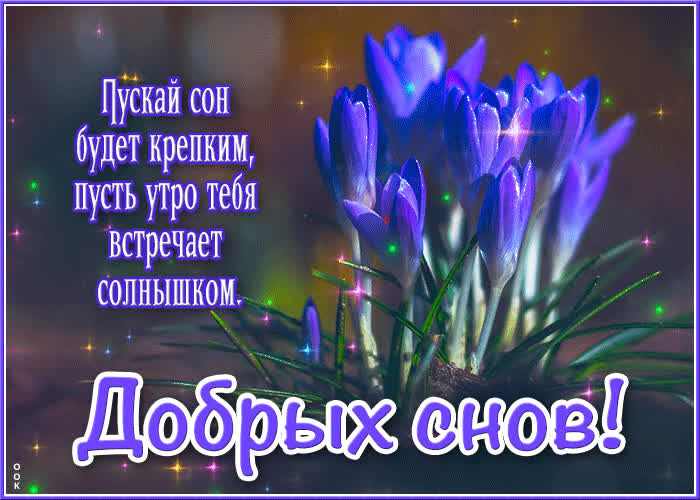 Postcard пускай сон будет крепким, пусть утро тебя встречает солнышком