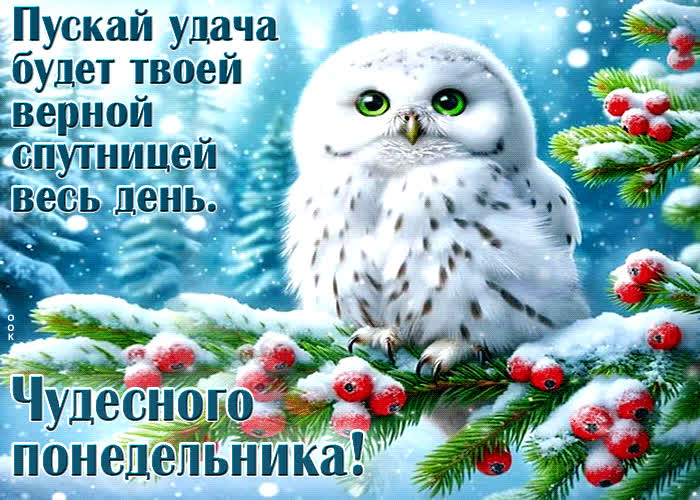 Postcard пускай удача будет твоей верной спутницей весь день