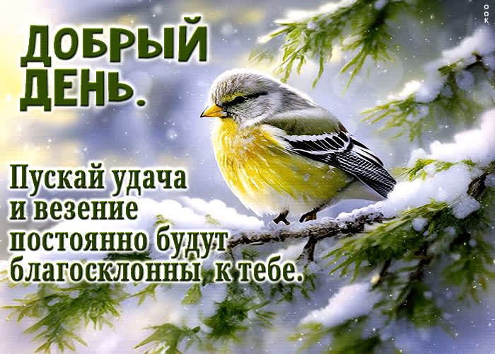 Postcard пускай удача и везение постоянно будут благосклоны к тебе