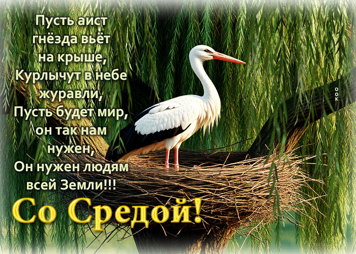 Picture пусть аист гнезда вьет на крыше, курлычат в небе журавли