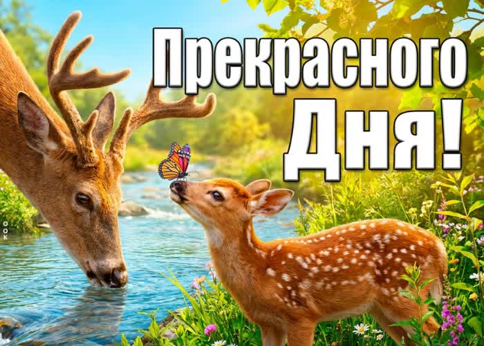 Postcard пусть день будет таким же тёплым, как лето
