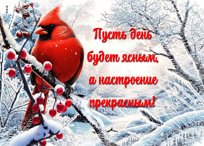 Picture пусть день будет ясным, а настроение прекрасным