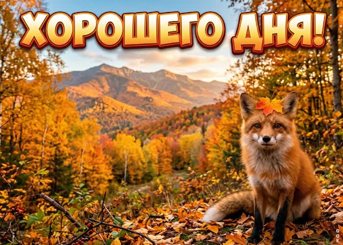 Postcard пусть день подарит вдохновение и новые силы.