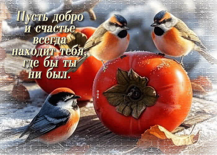 Postcard пусть добро и счастье всегда находит тебя, где бы ты ни был