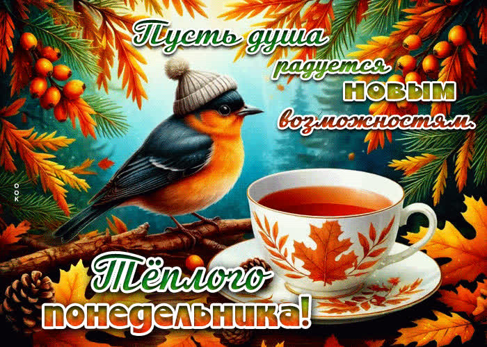Picture пусть душа радуется новым возможностям. теплого понедельника