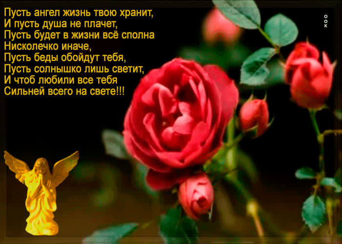 Картинка пусть душа не плачет