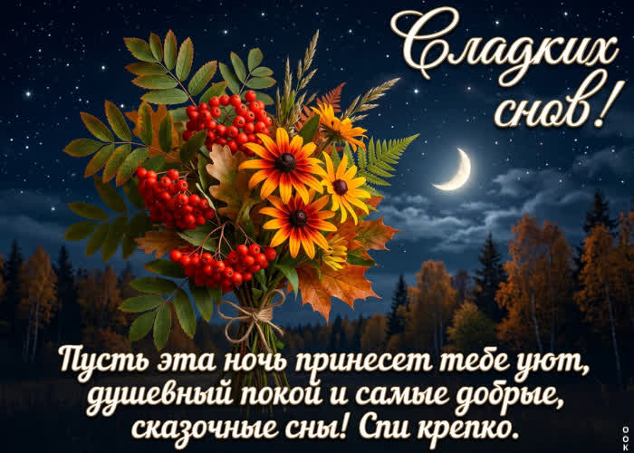 Postcard пусть эта ночь принесет тебе уют, душевный покой и добрые сказочные сны!