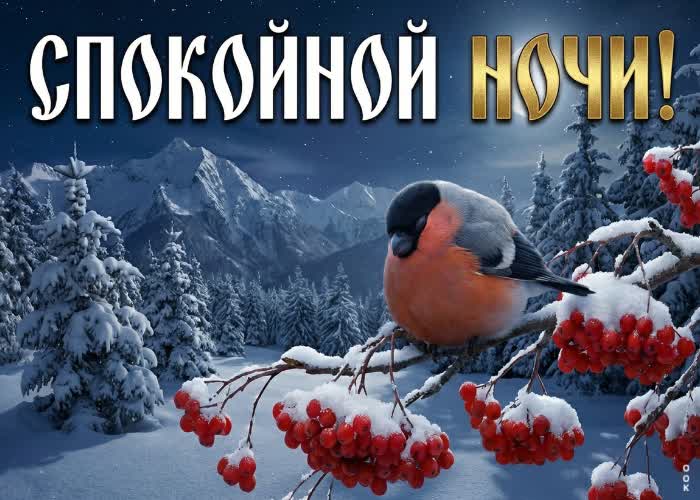 Picture пусть эта зимняя ночь будет тихой, красивой и наполненной приятными мыслями.