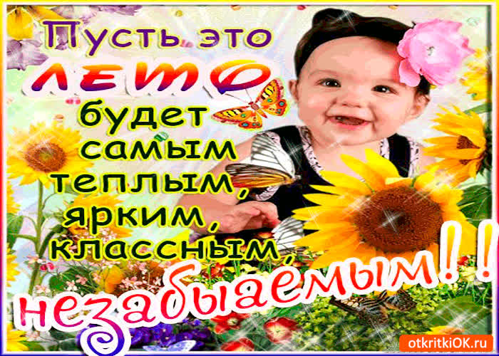 Картинка пусть это лето будет самым тёплым. поздравляю вас