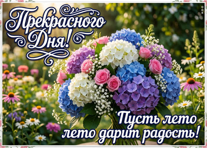 Picture пусть это лето дарит радость!