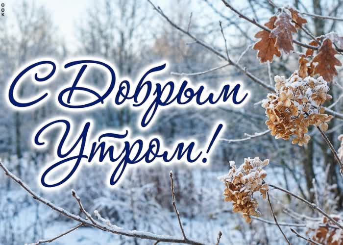 Picture пусть это утро принесёт новые силы, красивые мысли и гармонию в душе.