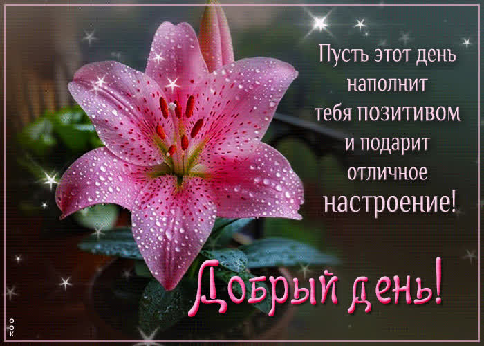 Picture пусть этот день наполнит тебя позитивом и подарит отличное настроение