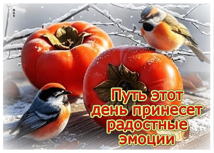 Picture пусть этот день принесет радостные эмоции