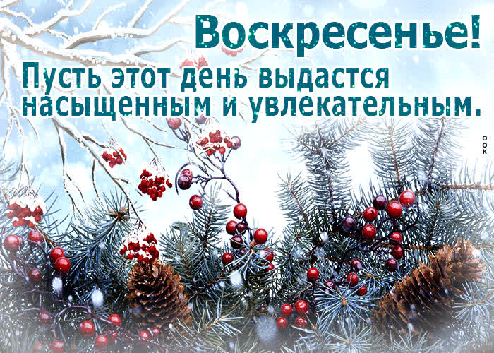 Postcard пусть этот день выдастся насыщенным и увлекательным! воскресенье