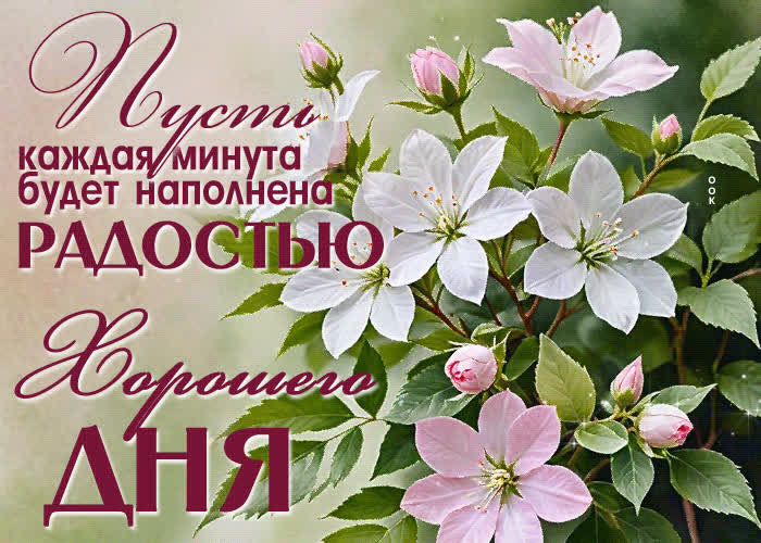Postcard пусть каждая минута будет наполнена радостью! хорошего дня