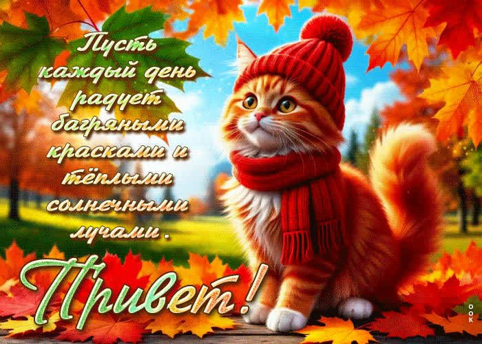Picture пусть каждый день радует теплыми солнечными лучами