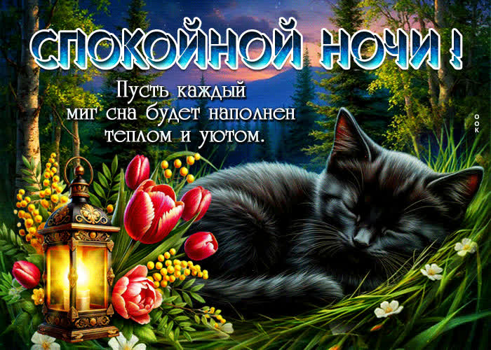 Postcard пусть каждый миг сна будет наполнен теплом и уютом