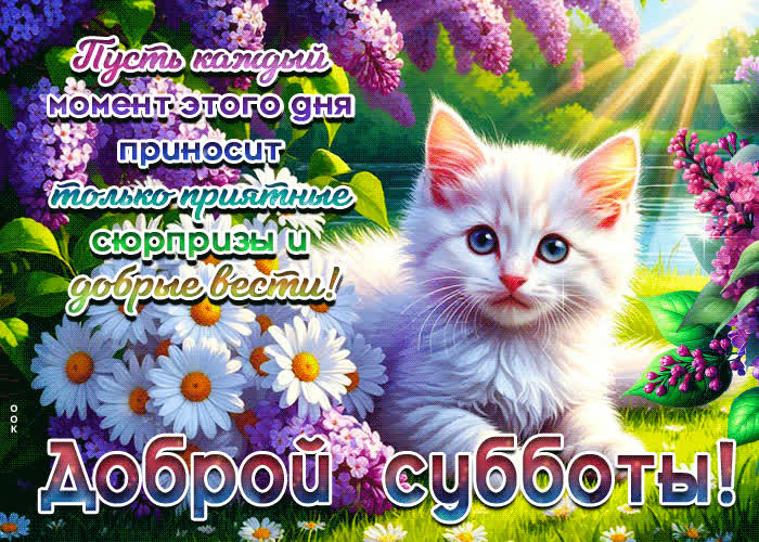 Picture пусть каждый момент этого дня приносит приятные сюрпризы