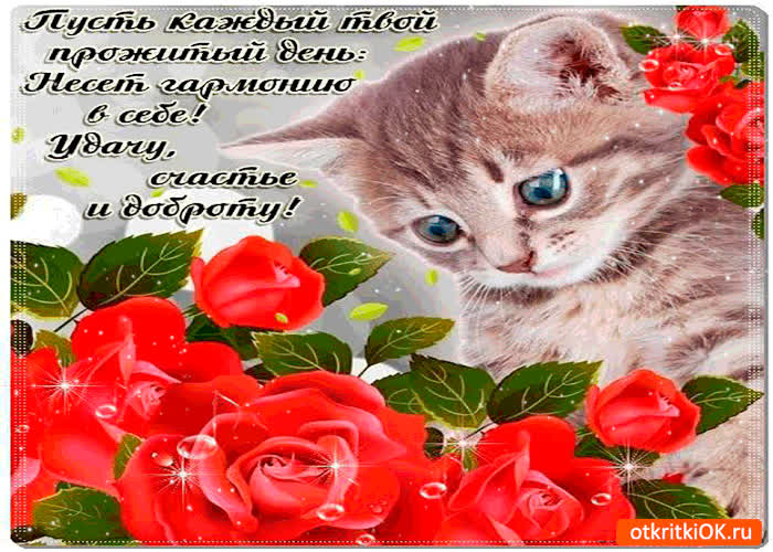 Картинка пусть каждый твой день несёт гармонию в себе