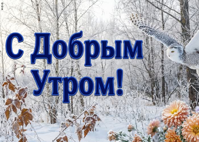 Picture пусть морозное утро принесёт спокойствие, гармонию и прекрасное настроение.