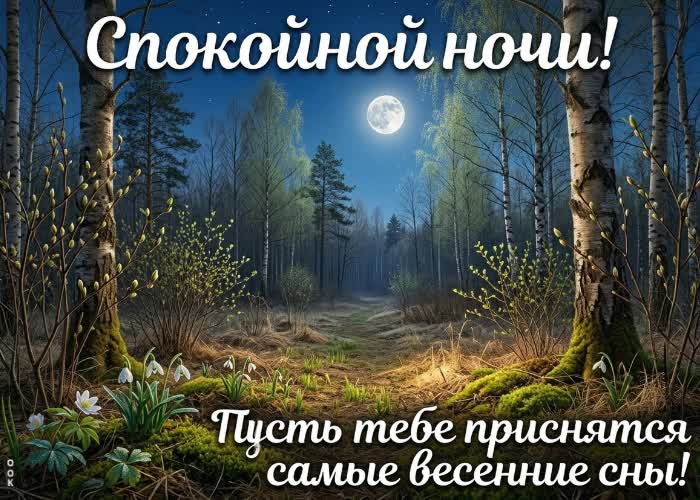 Picture пусть ночь будет доброй и тихой