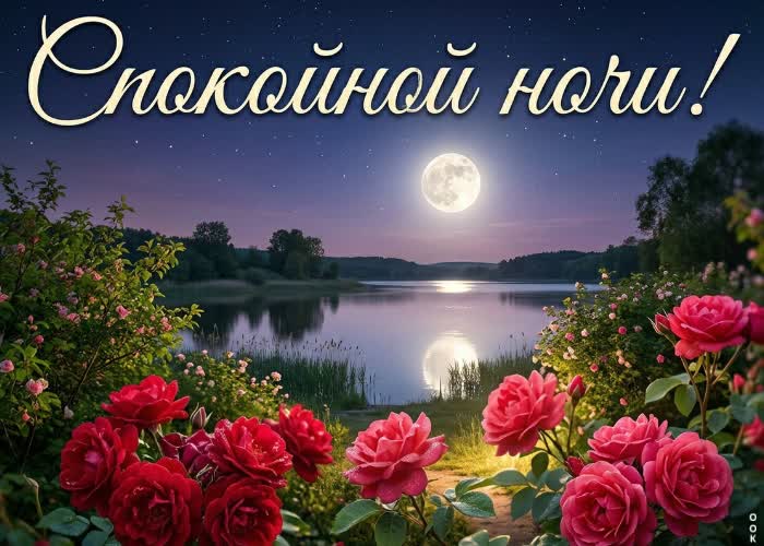 Postcard пусть ночь подарит сладкие сны
