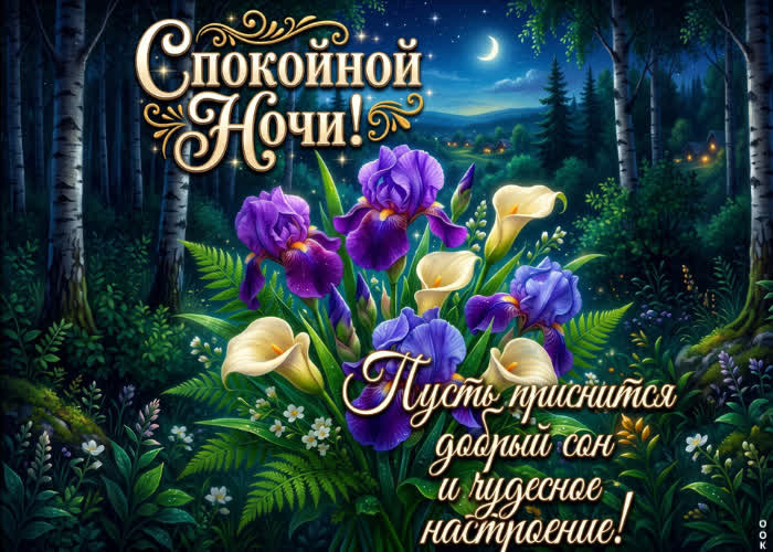 Postcard пусть приснится добрый и чудесный сон