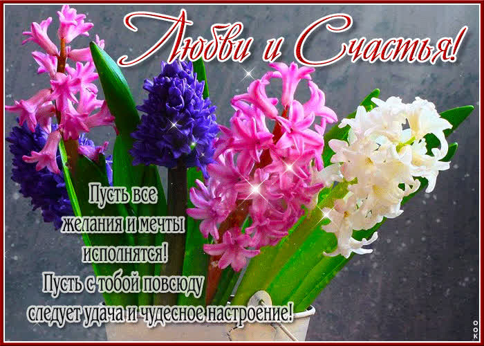 Picture пусть с тобой повсюду следует удача и чудесное настроение!