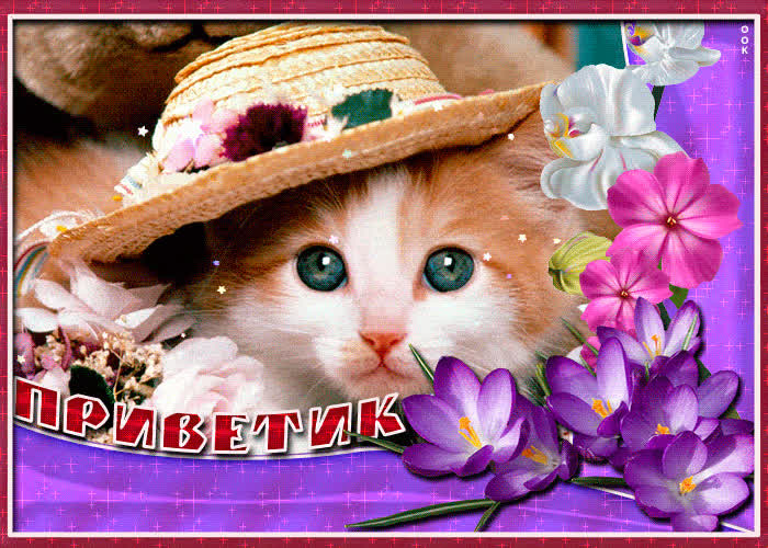 Картинка пусть счастье посетит дом вашей души