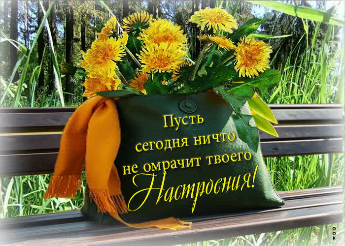 Picture пусть сегодня ничто не омрачит твоего настроения