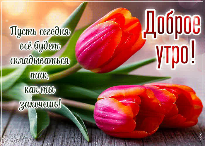 Picture пусть сегодня все будет складываться так, как ты захочешь