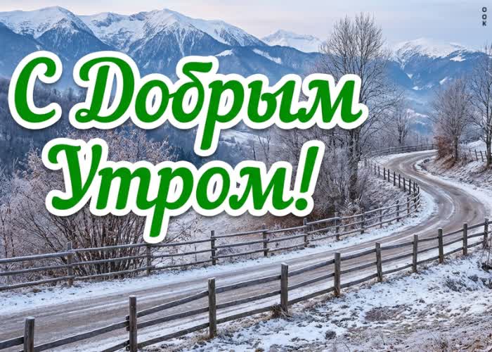 Picture пусть снег и зимнее солнце создадут особенное настроение сегодня.
