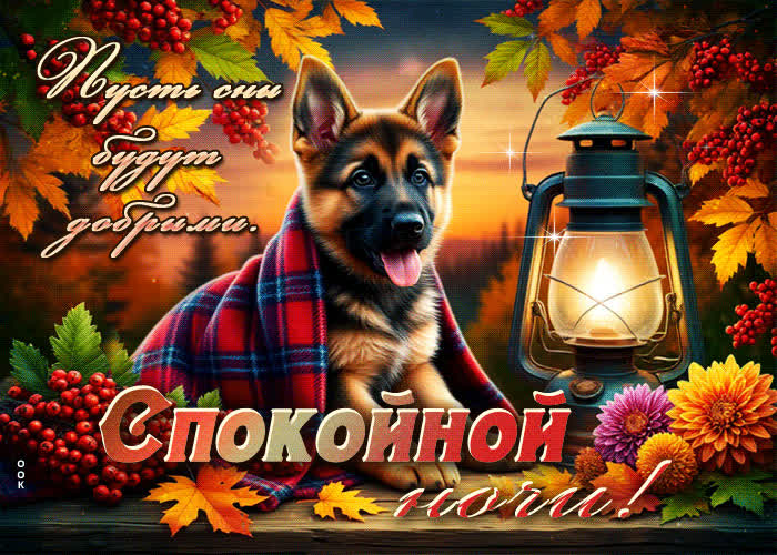 Picture пусть сны будут добрыми! спокойной ночи